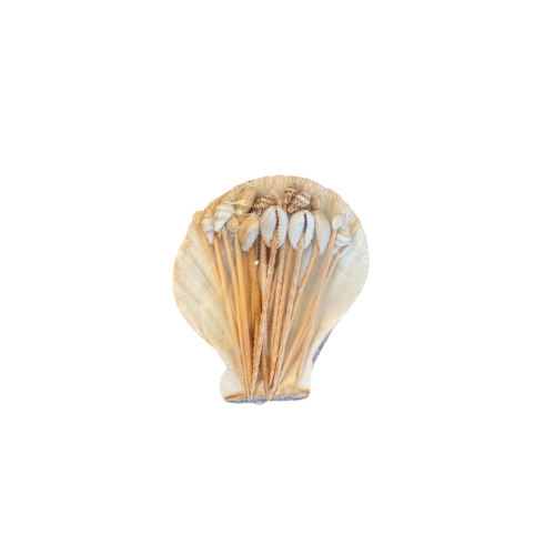12 tooth picks in a small clam shell