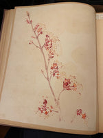 Load image into Gallery viewer, Botanical Giclee Print on Hahnemuhle Paper Framed
