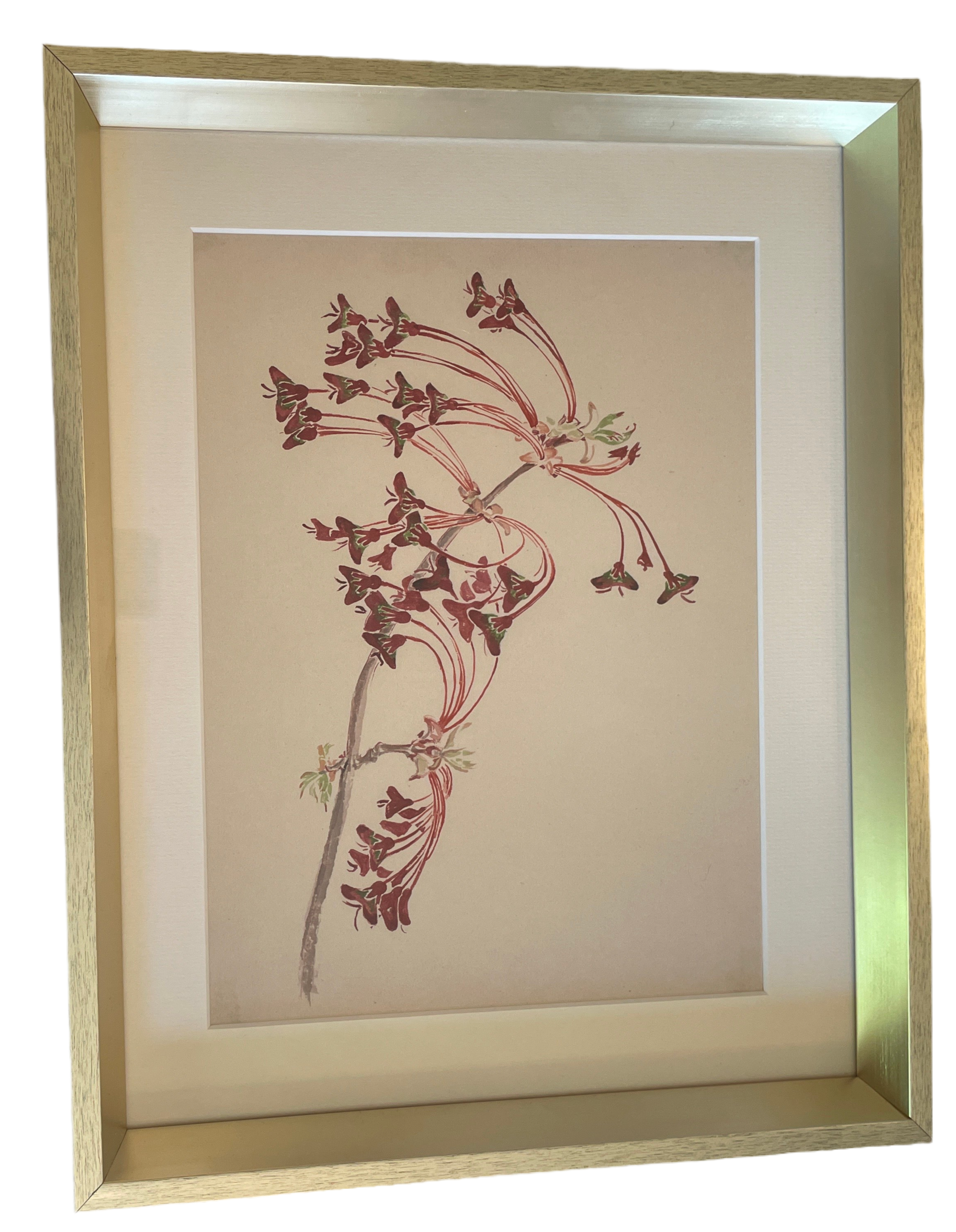 Botanical Giclee Prints on Hahnemuhle Paper Newly Matted and Framed