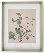 Load image into Gallery viewer, Botanical Giclee Prints on Hahnemuhle Paper Newly Matted and Framed

