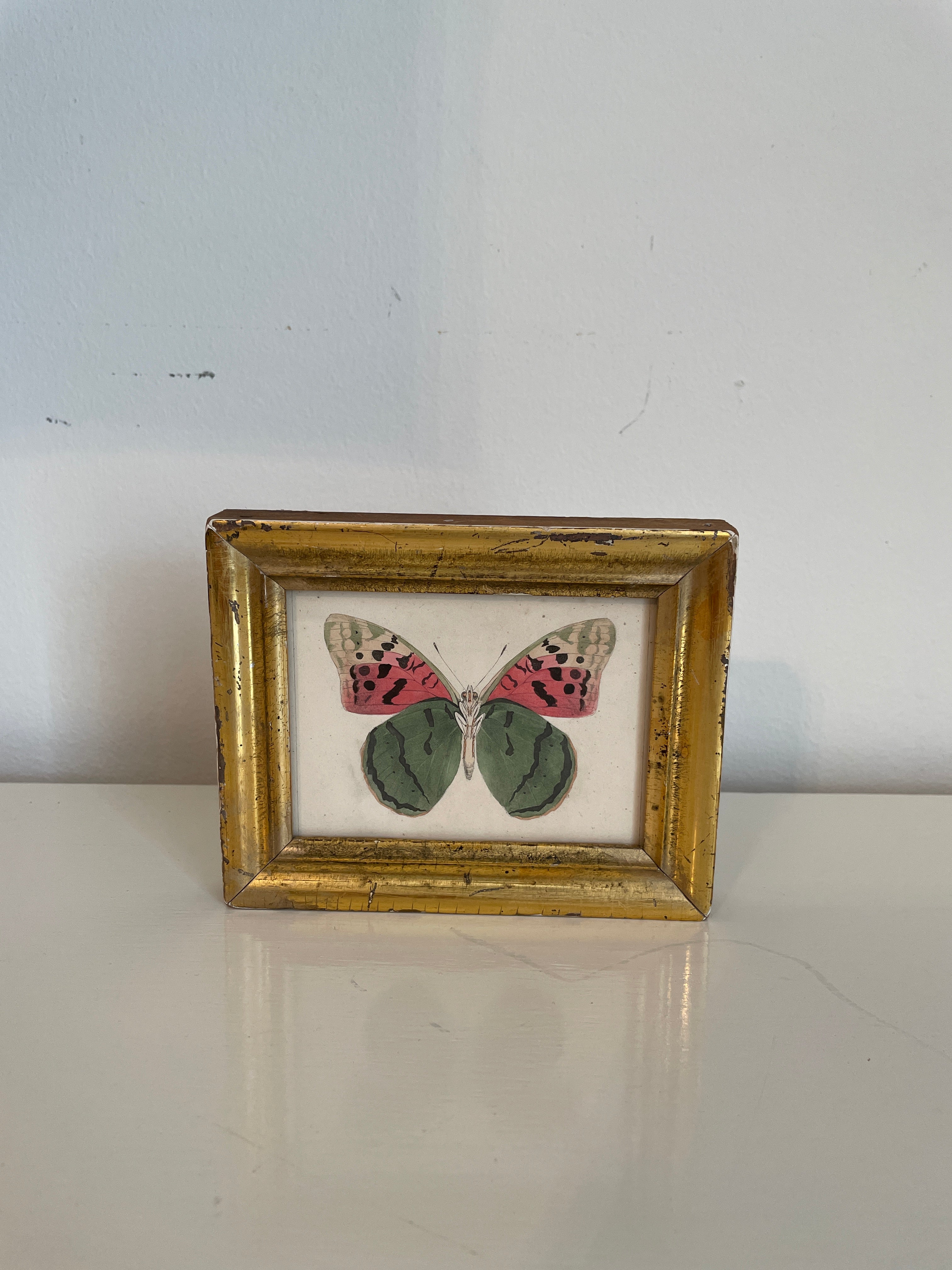 Original Watercolor Butterfly Painting in Antique Gilded Frame