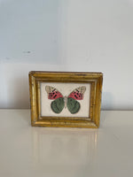 Load image into Gallery viewer, Original Watercolor Butterfly Painting in Antique Gilded Frame
