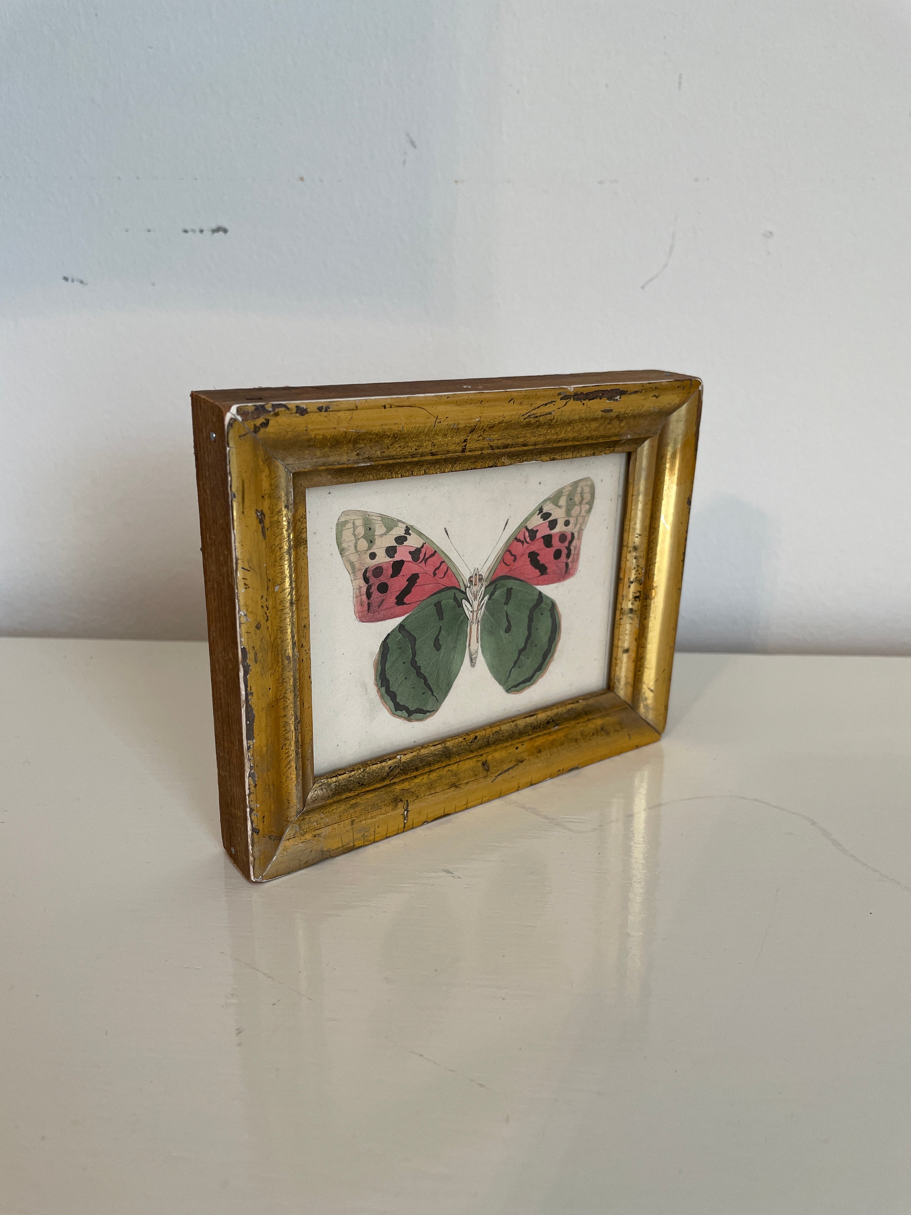 Original Watercolor Butterfly Painting in Antique Gilded Frame