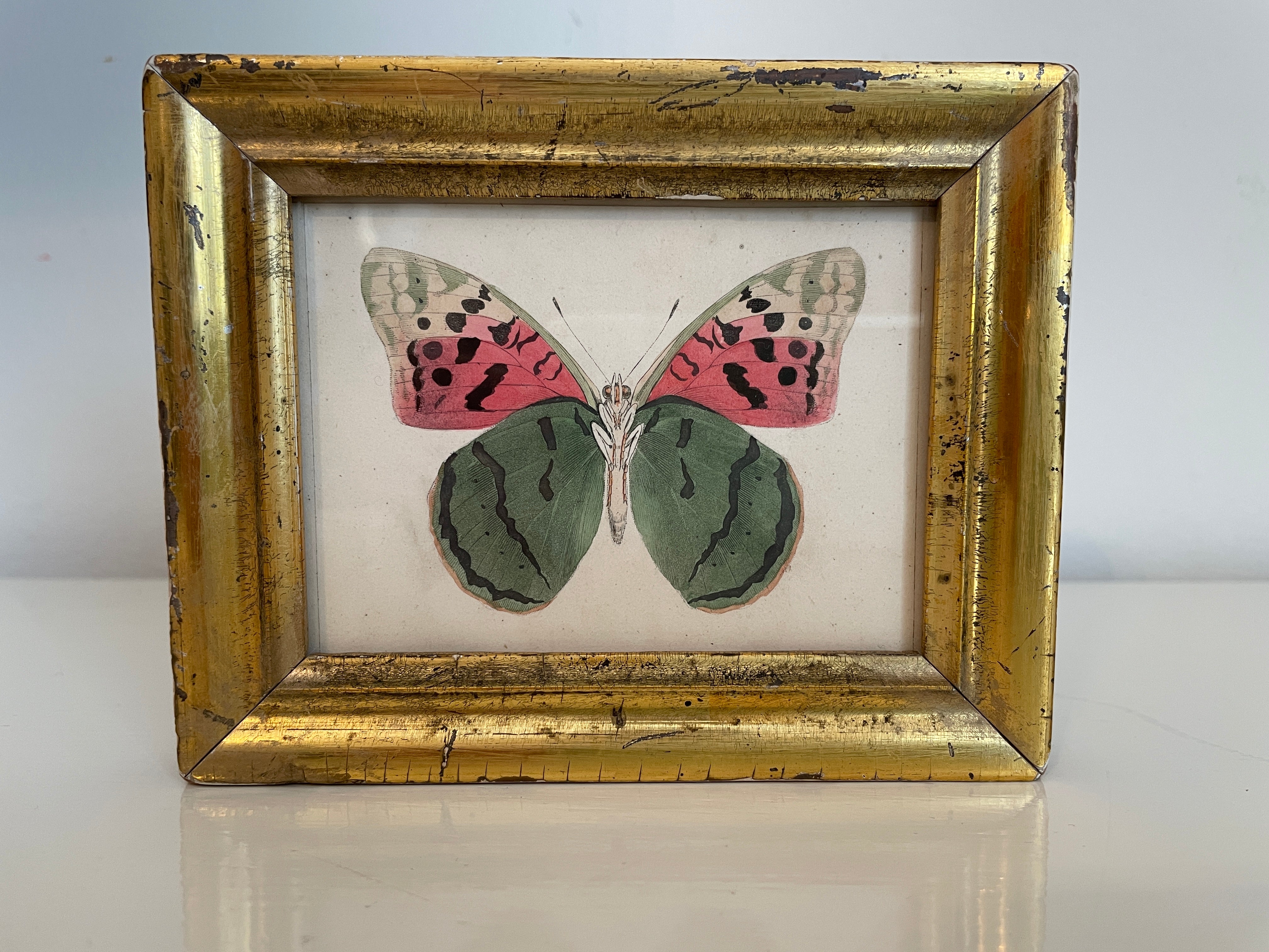 Original Watercolor Butterfly Painting in Antique Gilded Frame