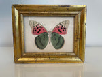 Load image into Gallery viewer, Original Watercolor Butterfly Painting in Antique Gilded Frame
