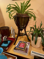 Load image into Gallery viewer, Wine Stand / Plant Stand
