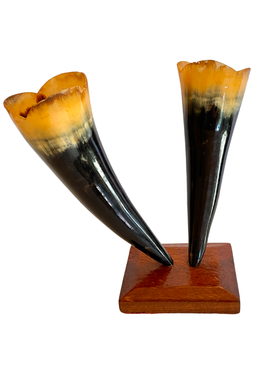 Horn Vase on Wood Stand