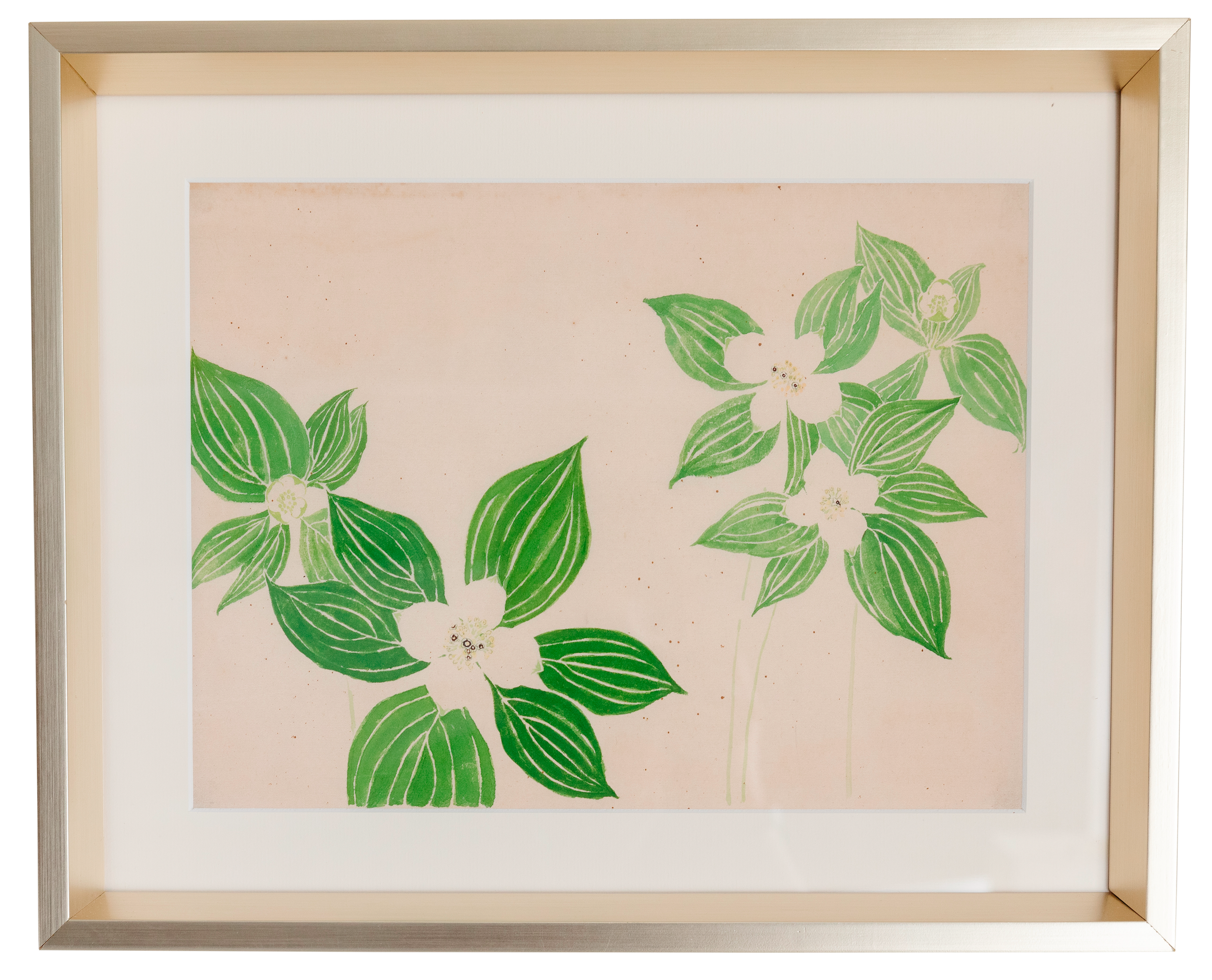 Botanical Giclee Prints on Hahnemuhle Paper Newly Matted and Framed