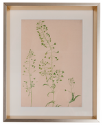 Load image into Gallery viewer, Botanical Giclee Prints on Hahnemuhle Paper Newly Matted and Framed
