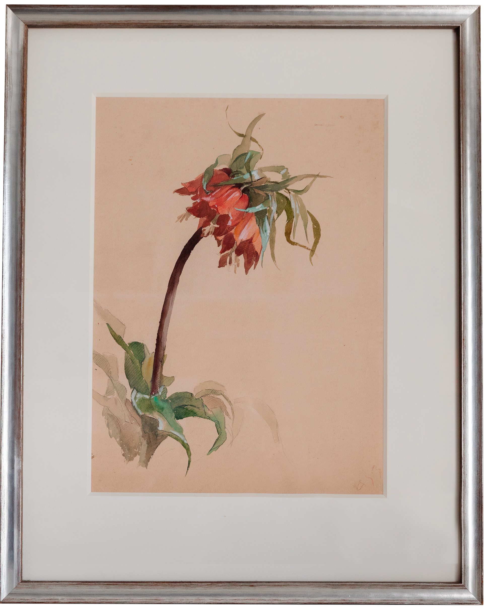 Antique Watercolor Tropical Flower