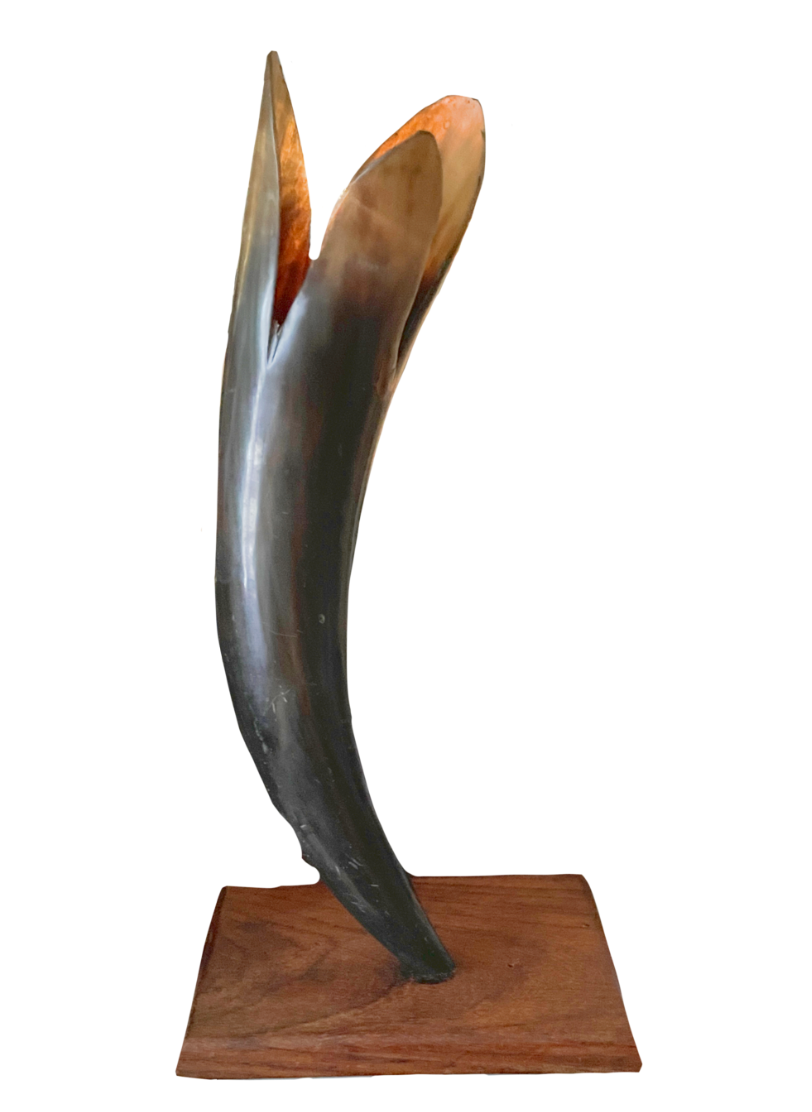 Antique Horn Sculptural Vase on Wooden Base