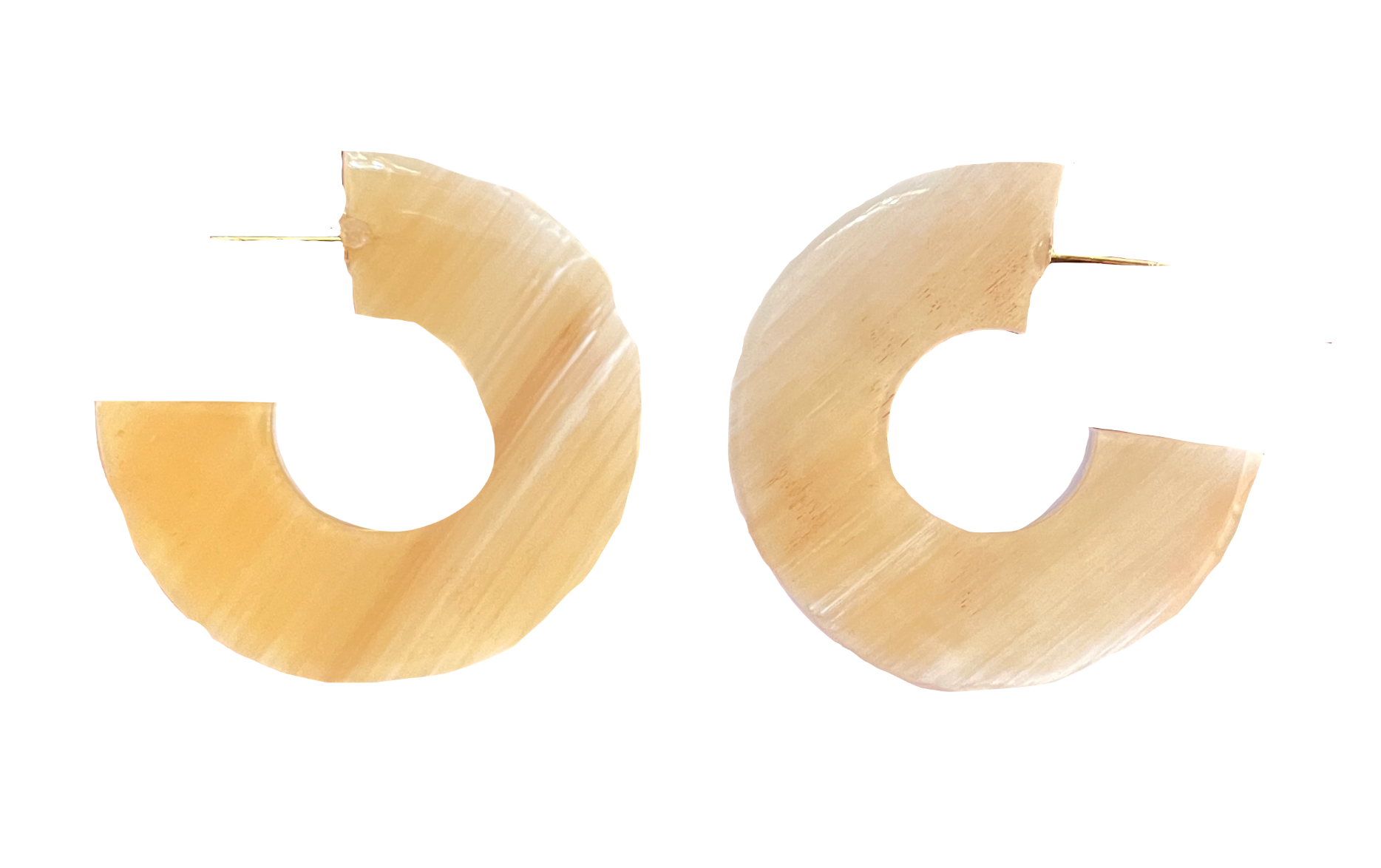 Horn Flat Crescent Earrings