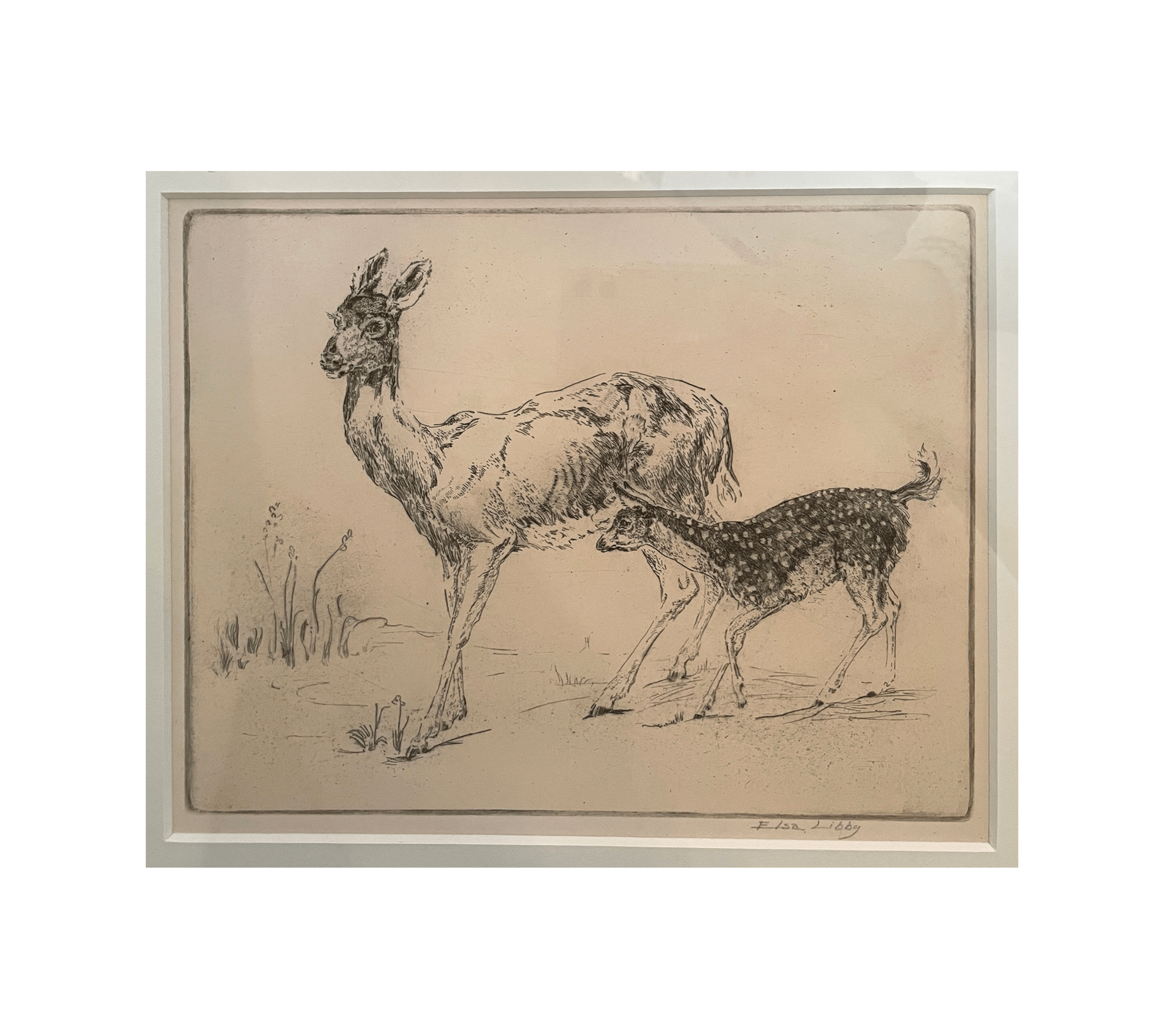 Vintage Animal Sketch Series