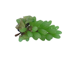 Load image into Gallery viewer, Vintage Bright Green Glass Grapes
