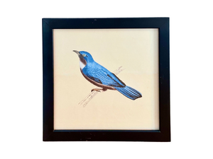 Vintage Goauche and Ink Drawing of Blue Bird