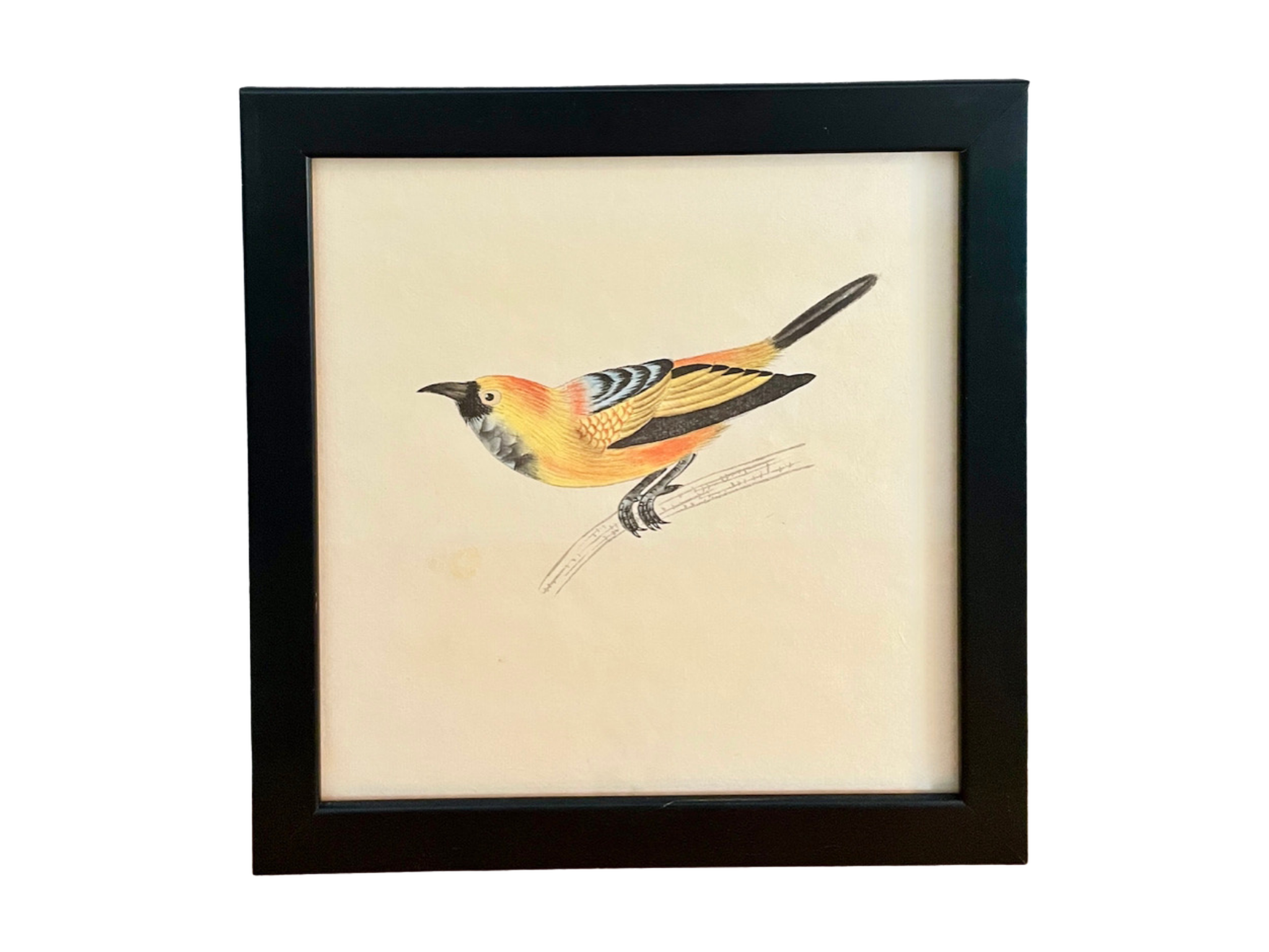 Vintage Goauche and Ink Drawing of Yellow Bird