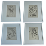Load image into Gallery viewer, White Botanicals Antique Print in New Frame
