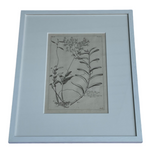 Load image into Gallery viewer, White Botanicals Antique Print in New Frame
